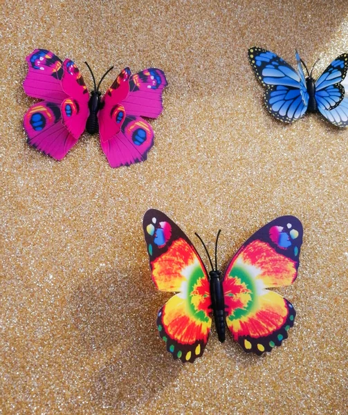 Tiro Alto Ángulo Mariposas Colores Suelo Arenoso —  Fotos de Stock