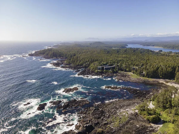 Vue Aérienne Une Forêt Près Littoral — Photo