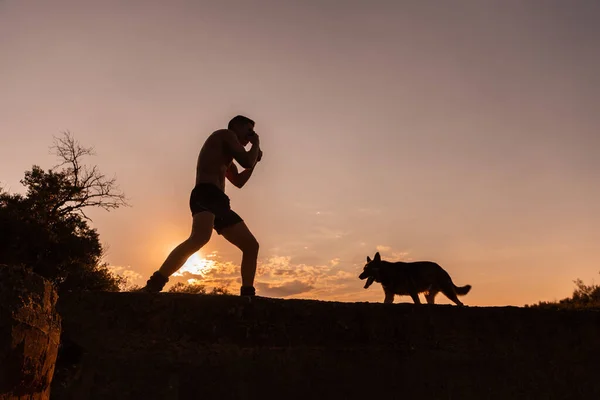 Чоловік Який Працює Своєю Собакою Заході Сонця — стокове фото