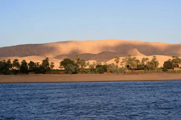 Closeup Shot Nile River — Stockfoto