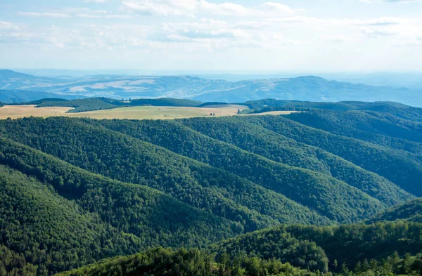 Beautiful View Green Fagaras Mountains Forests Romania — Stock Photo, Image