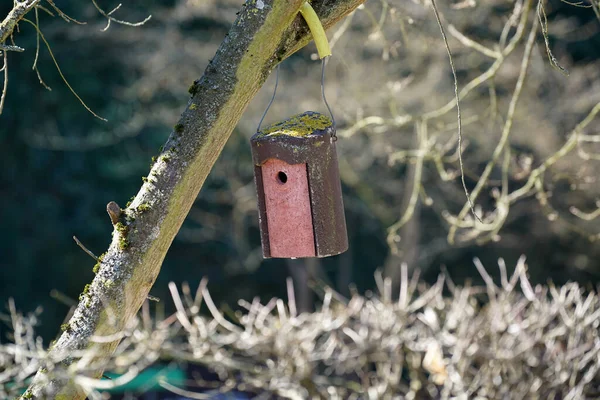 Tiro Seletivo Foco Birdhouse Velho — Fotografia de Stock