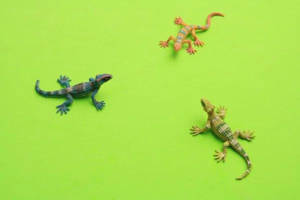 Une Vue Dessus Petits Jouets Colorés Forme Lézard Sur Une — Photo