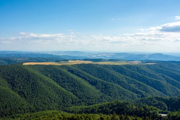 Bela Vista Das Montanhas Verdes Fagaras Florestas Romênia — Fotografia de Stock
