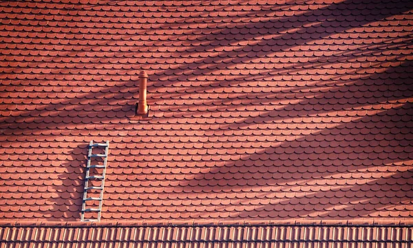 지붕에서 외로운 사다리의 — 스톡 사진