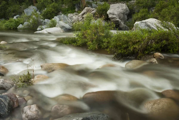 Horizontal Shot Seething River Big Stones Surrounded Green Bushes — Stock Photo, Image