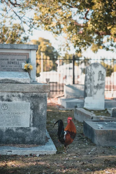 Wes Clave Estados Unidos 2018 Disparo Vertical Cementerio Histórico Clave —  Fotos de Stock