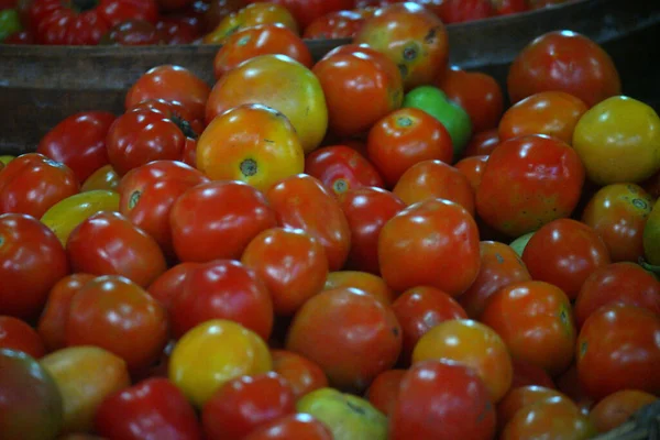 Mucchio Pomodori Appena Raccolti Sul Mercato — Foto Stock