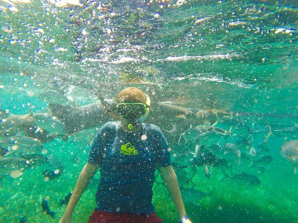 Dech Beroucí Snímek Podvodní Krajiny Tropickými Rybami Potápěčem Ostrově Caye — Stock fotografie