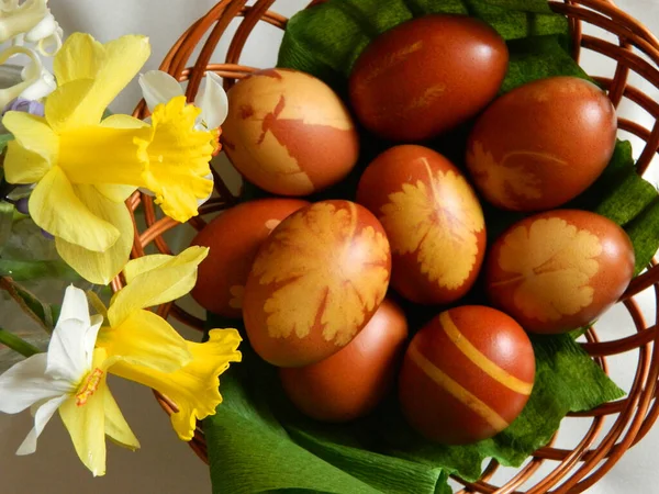 Вид Сверху Окрашенные Пасхальные Яйца Нарциссами Сбоку — стоковое фото