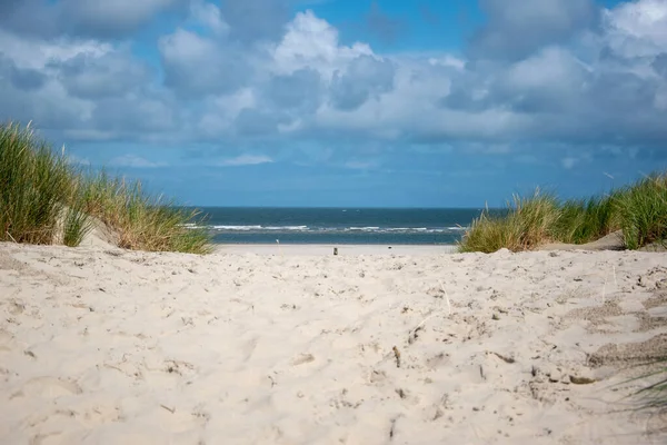 Eine Nahaufnahme Von Blauem Himmel Über Weißem Sand Und Grünem — Stockfoto