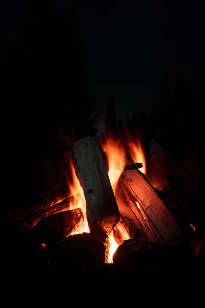 Tiro Vertical Uma Fogueira Uma Floresta Noite Ótimo Para Papéis — Fotografia de Stock