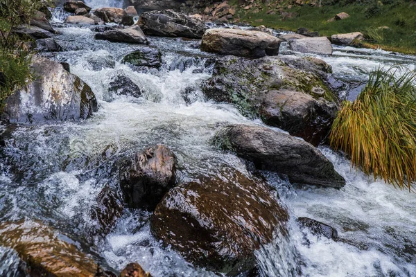 Closeup Shot Water Waterfall Stones — Stock fotografie