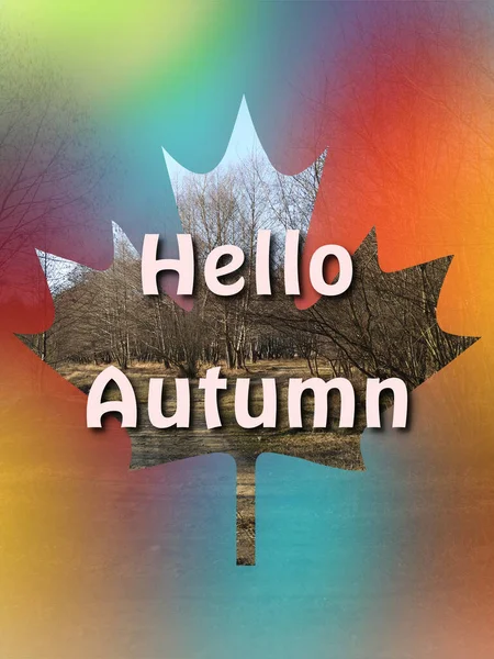 Suché Podzimní Pole Viditelné Javorového Listu Slovy Hello Autumn Uprostřed — Stock fotografie