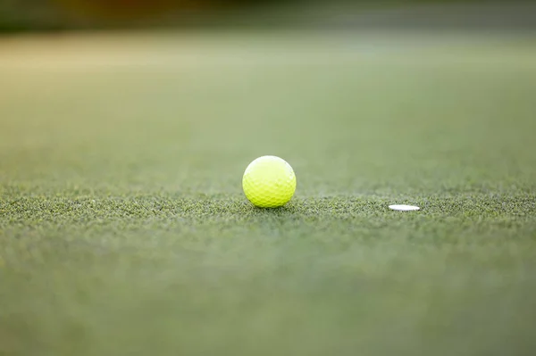 Tiro Foco Seletivo Uma Bola Golfe Campo — Fotografia de Stock