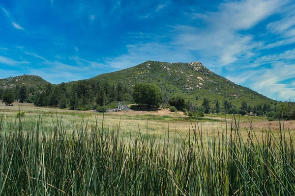 Pintoresco Plano Campo Verde Con Una Montaña Fondo — Foto de Stock