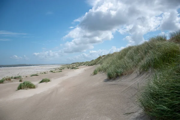 Прекрасный Кадр Песчаного Пляжа Травой Ярким Облачным Небом — стоковое фото