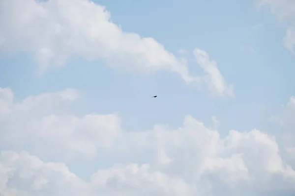 Låg Vinkel Skott Himlen — Stockfoto