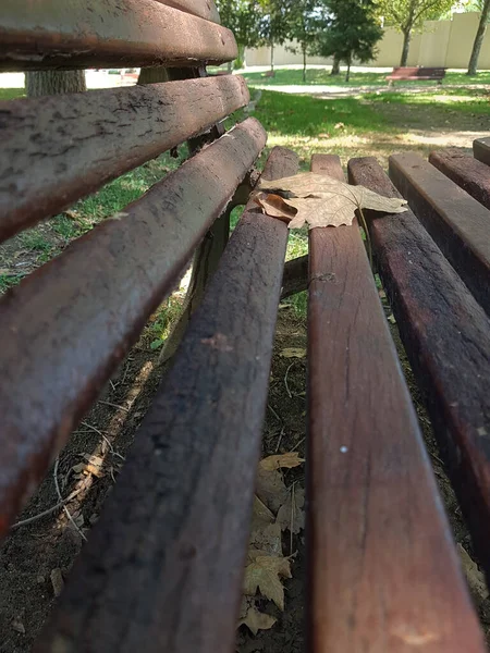 Mise Point Sélective Banc Avec Une Feuille Dessus — Photo