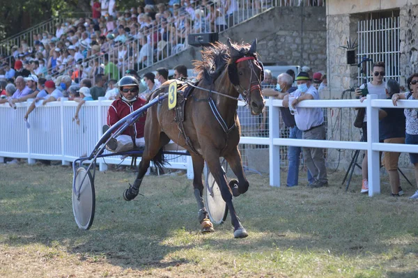 Sault Frankreich August 2020 August 2020 Hippodrome Sault Südfrankreich Das — Stockfoto