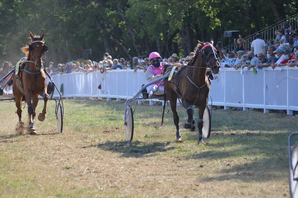 Sault フランス 2020年8月09日 2020年8月09日ヒッポドローム ソールト 南フランス 今年唯一の競馬 — ストック写真