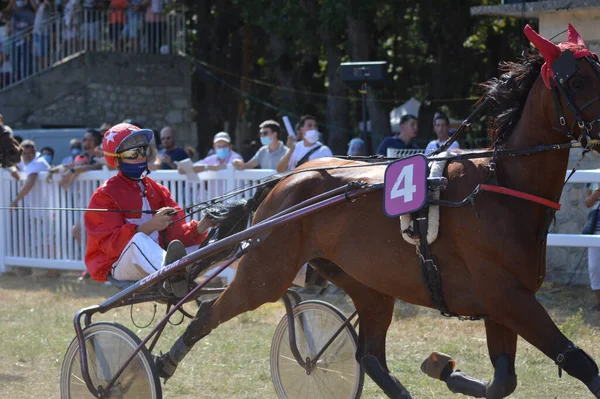 Sault Francia 2020 2020 Hipódromo Sault Sur Francia Única Carrera — Foto de Stock