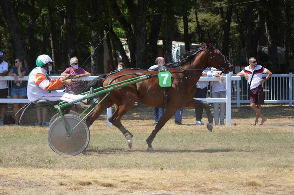 Sault Francia Ago 2020 Agosto 2020 Ippodromo Sault Sud Della — Foto Stock