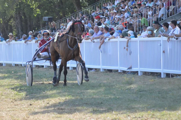 Sault Frankreich August 2020 August 2020 Hippodrome Sault Südfrankreich Das — Stockfoto