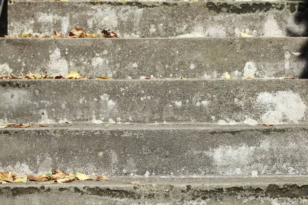 Tiro Close Escadas Intemperadas Folhas Outono Sobre Eles — Fotografia de Stock
