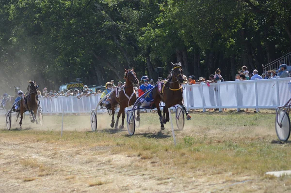 Sault フランス 2020年8月09日 2020年8月09日ヒッポドローム ソールト 南フランス 今年唯一の競馬 — ストック写真