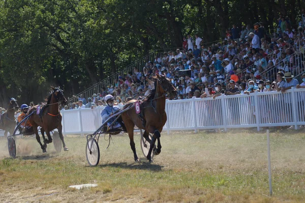 Sault Francia 2020 2020 Hipódromo Sault Sur Francia Única Carrera — Foto de Stock