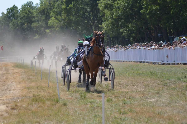 Sault Francie 2020 2020 Hippodrome Sault Jižní Francie Jediný Dostih — Stock fotografie