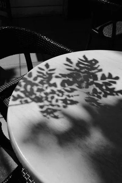 Gölgesi Olan Bir Masanın Gri Tonlu Üst Görünümü — Stok fotoğraf