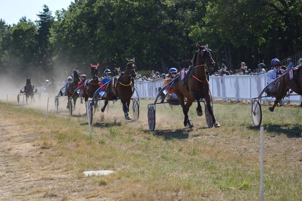 Sault Francie 2020 2020 Hippodrome Sault Jižní Francie Jediný Dostih — Stock fotografie