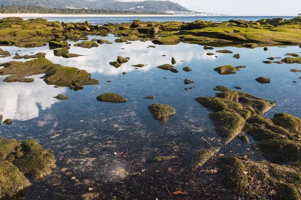 Primer Plano Una Costa Rocosa Día Soleado — Foto de Stock