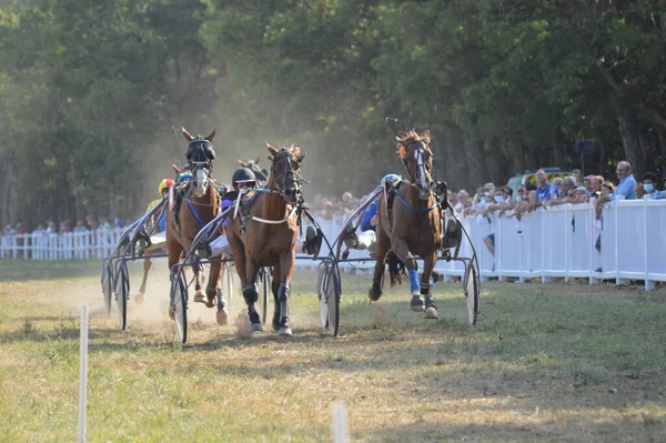 Sault Francie 2020 2020 Hippodrome Sault Jižní Francie Jediný Dostih — Stock fotografie