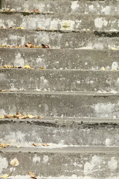 Μια Κάθετη Λήψη Από Ξεπερασμένες Σκάλες Και Φθινοπωρινά Φύλλα Πάνω — Φωτογραφία Αρχείου