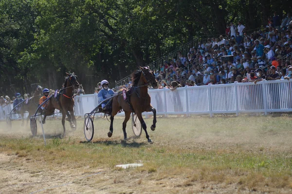 Sault Francia 2020 2020 Hipódromo Sault Sur Francia Única Carrera — Foto de Stock