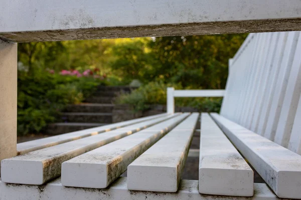 Ett Mjukt Fokus Vit Träbänk Park — Stockfoto