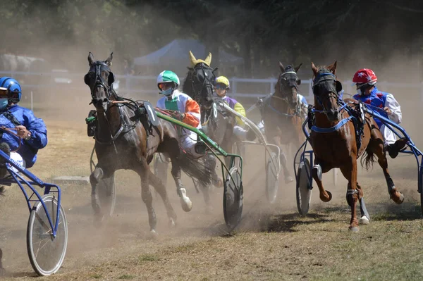 Sault Francia 2020 2020 Hipódromo Sault Sur Francia Única Carrera — Foto de Stock