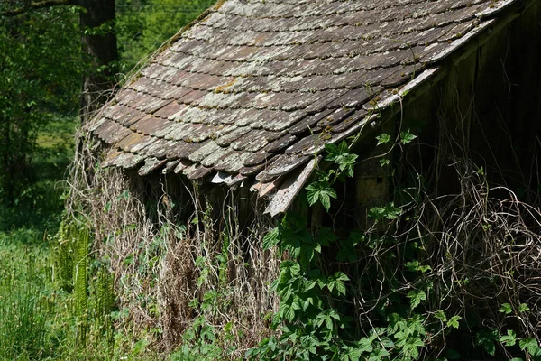 Edificio Rural Abandonado Rodeado Bosque Campo — Foto de Stock