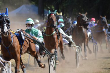 SAULT, FRANCE - Aug 09, 2020: 09 August 2020 Hippodrome a Sault ( South of France, The only horse race in the year ) clipart