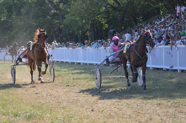 Sault Francie 2020 2020 Hippodrome Sault Jižní Francie Jediný Dostih — Stock fotografie