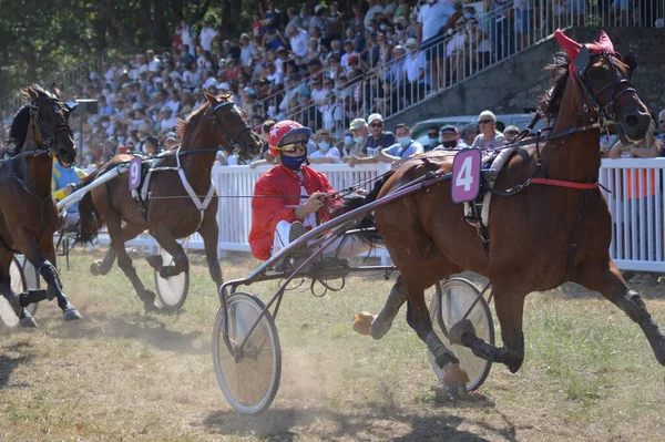 Sault Francie 2020 2020 Hippodrome Sault Jižní Francie Jediný Dostih — Stock fotografie