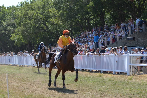 Sault Francie 2020 2020 Hippodrome Sault Jižní Francie Jediný Dostih — Stock fotografie