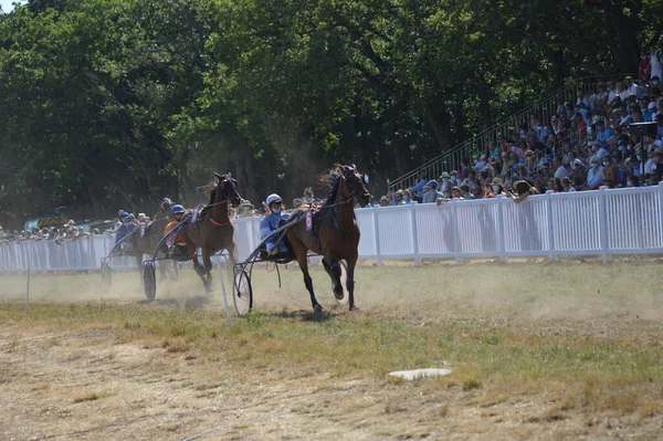 Sault Francie 2020 2020 Hippodrome Sault Jižní Francie Jediný Dostih — Stock fotografie