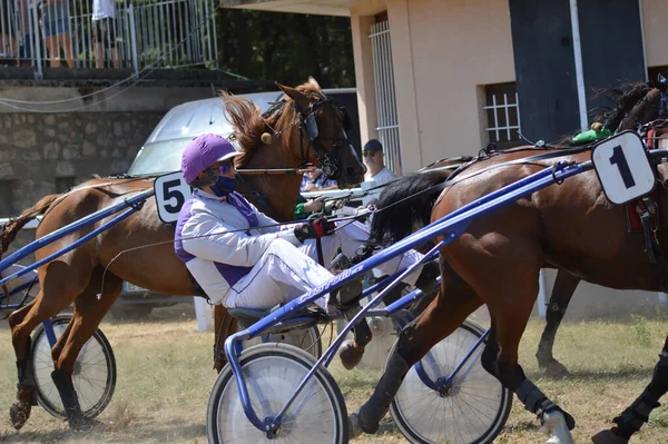 Sault Francia 2020 2020 Hipódromo Sault Sur Francia Única Carrera — Foto de Stock