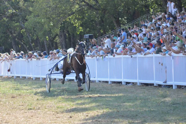 Sault Francie 2020 2020 Hippodrome Sault Jižní Francie Jediný Dostih — Stock fotografie