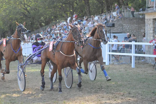 Sault Francie 2020 2020 Hippodrome Sault Jižní Francie Jediný Dostih — Stock fotografie