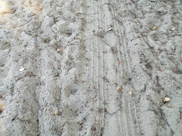 Отпечатки Шин Белом Песке — стоковое фото